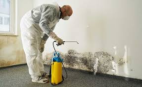 Best Mold Damage Restoration  in Aberdeen Proving Ground, MD